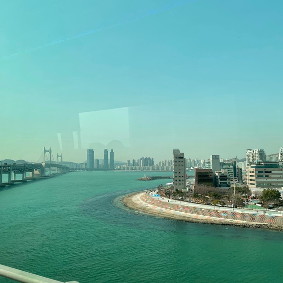 Meet your Posher, Oskee - Picture 1 of 1